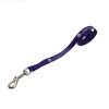 Promotional Dog Leads 15mm